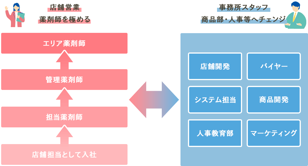 キャリアステップイメージ図。最初は店舗担当としてスタート。その後、店舗営業を極める道と、事務所スタッフとして商品部・人事部などへチェンジする道があります。
