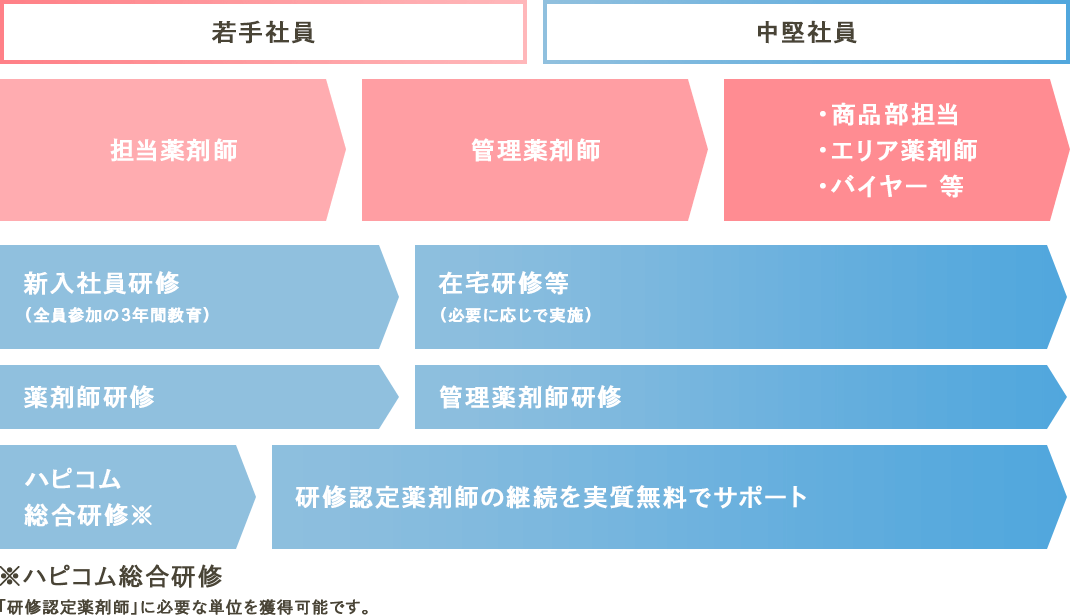 薬剤師教育体系図。新入社員研修、在宅研修、薬剤師研修、管理薬剤師研修、ハピコム総合研修などがあります。ハピコム総合研修では「研修認定薬剤師」に必要な単位を獲得可能です。